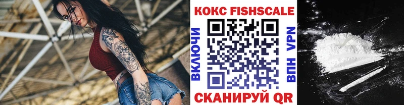 Cocaine Fish Scale  где купить наркоту  KRAKEN ссылки  Томилино 