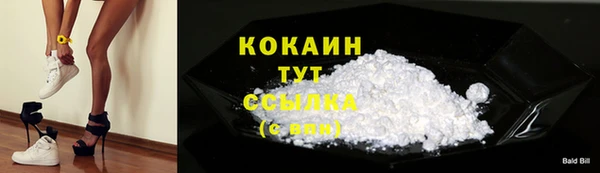PSILOCYBIN Вуктыл